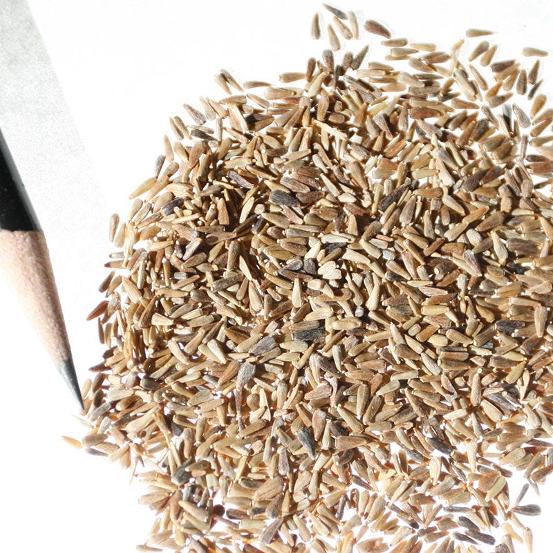 China Aster Seeds Single Mix