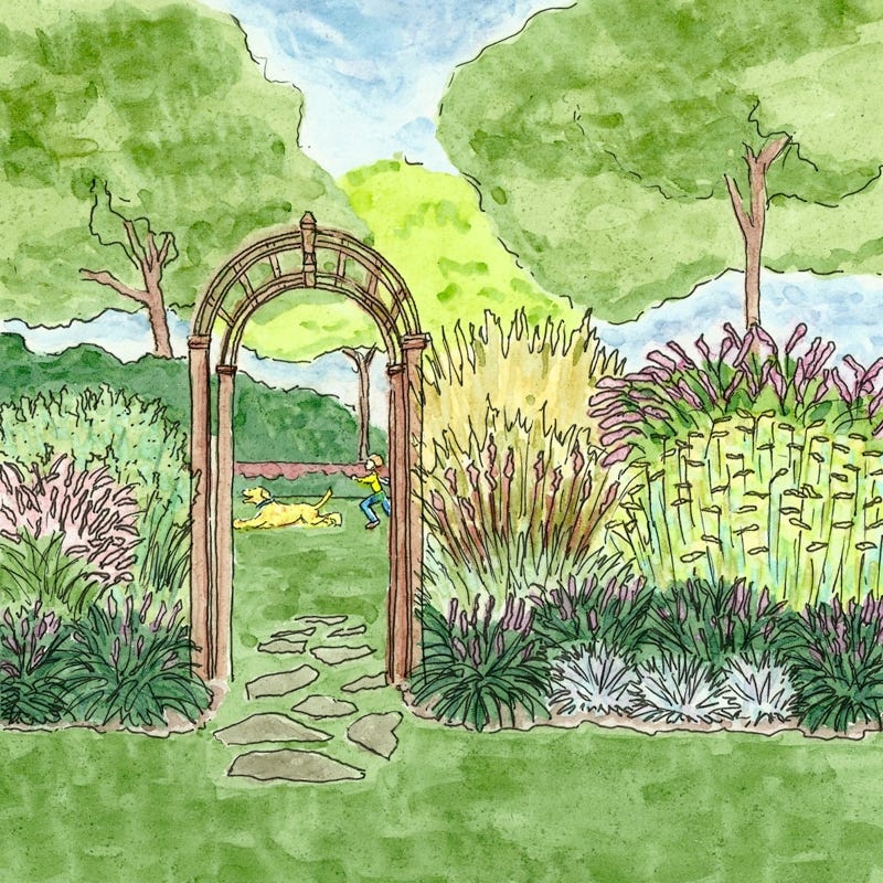 Carefree Ornamental Grass Pre-Planned Garden