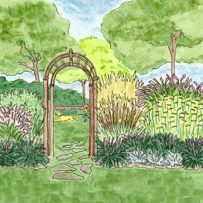 Carefree Ornamental Grass Pre-Planned Garden