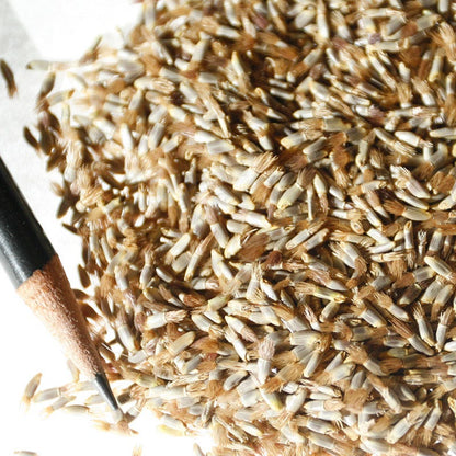 Blue Cornflower or Bachelor Button Seeds