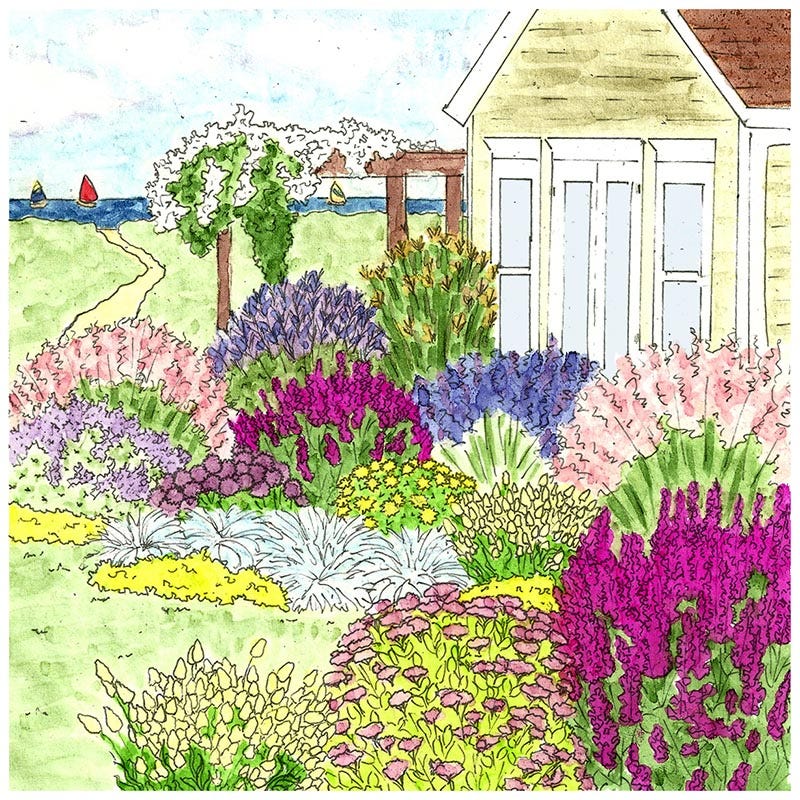 Coastal Cottage Pre-Planned Garden