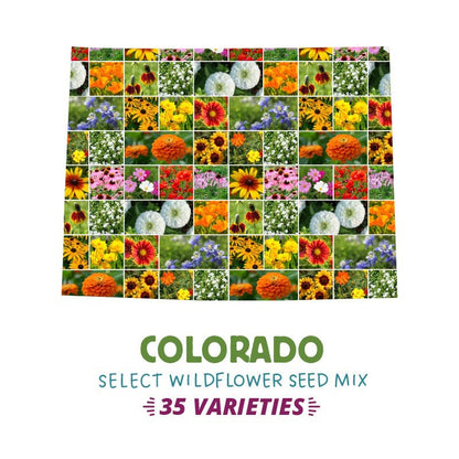 colorado native flower seeds Colorado Select Wildflower Seed Mix