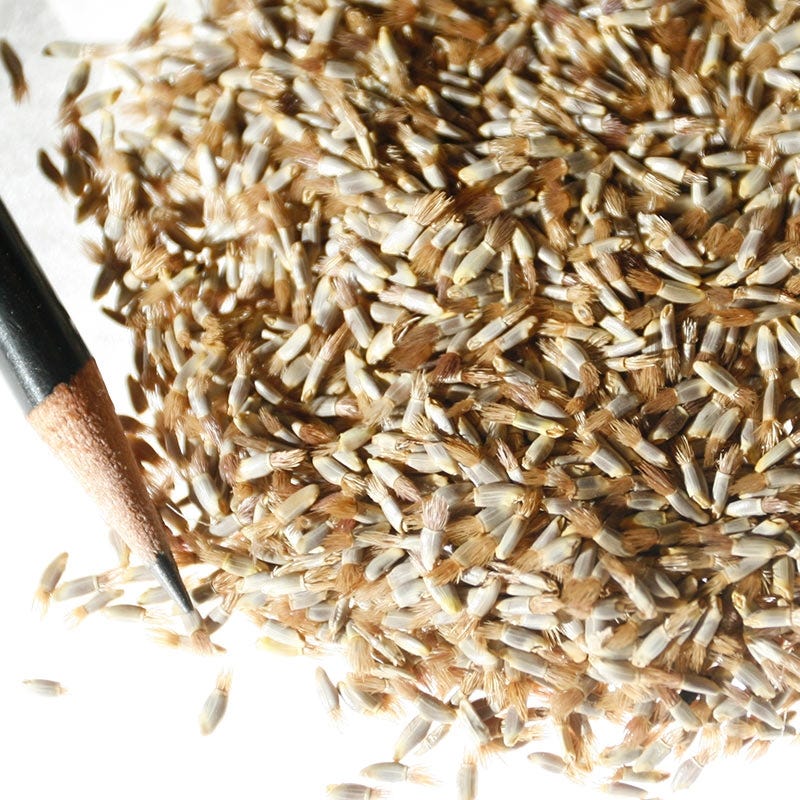Mixed Cornflower or Bachelor Button Seeds