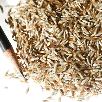 Mixed Cornflower or Bachelor Button Seeds