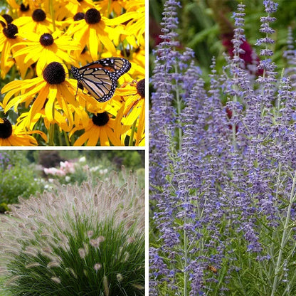 Deer Resistant Curb Appeal Plant Collection