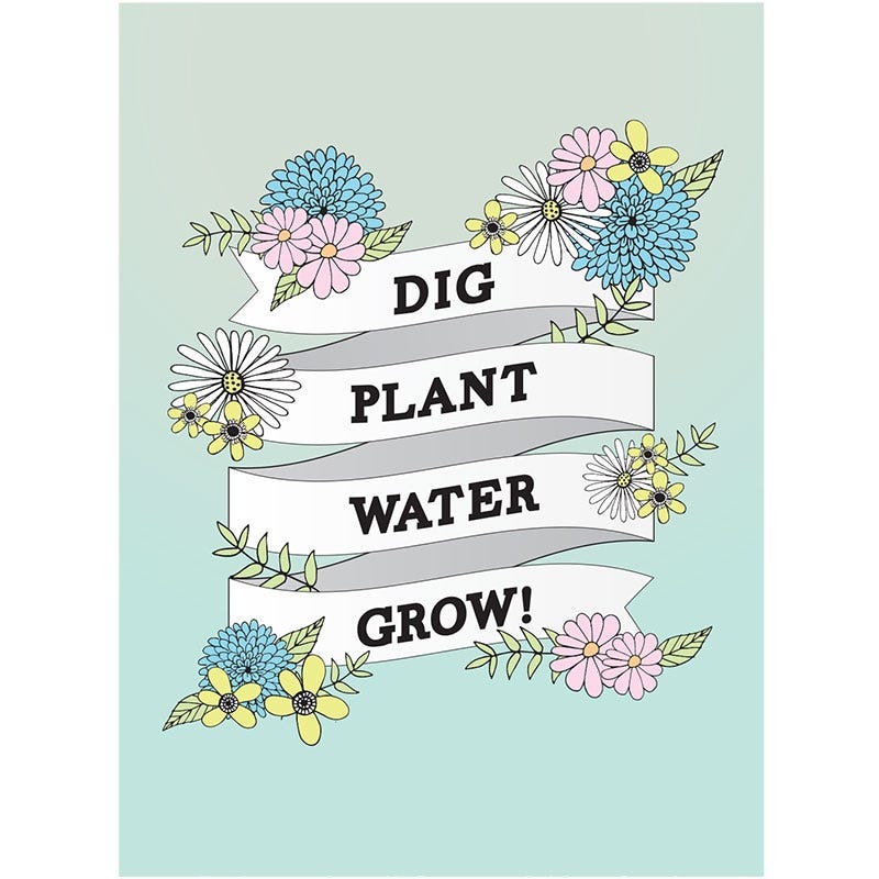 Dig Plant Water Grow Seed Packet