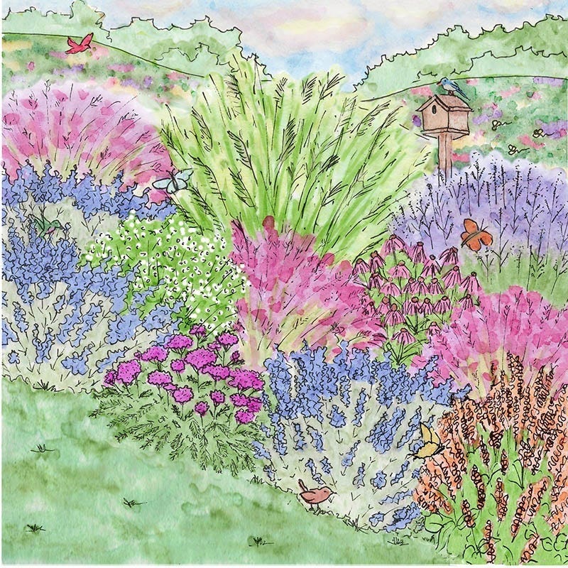 Dreamy Meadow Pre-Planned Garden