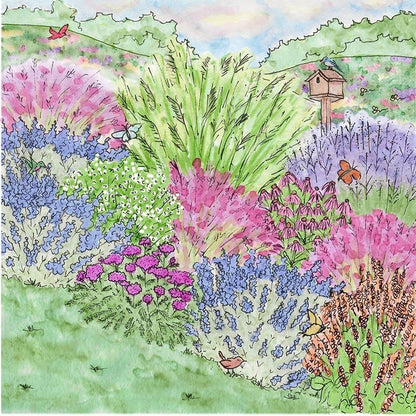 Dreamy Meadow Pre-Planned Garden