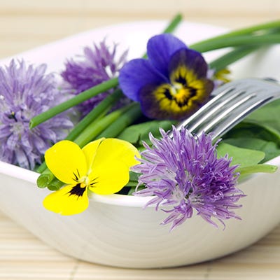 Edible Flower Seed Mix