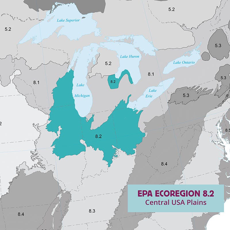 Ecoregion Native Plant Collection - Central USA Plains