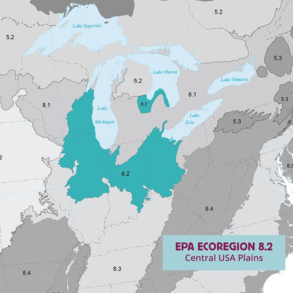 Ecoregion Native Plant Collection - Central USA Plains