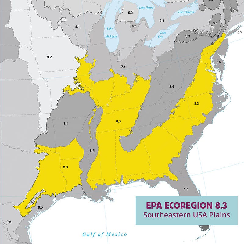 Ecoregion Native Plant Collection - Southeastern USA Plains