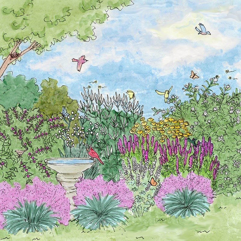 Bird Watcher Native Pre-Planned Garden