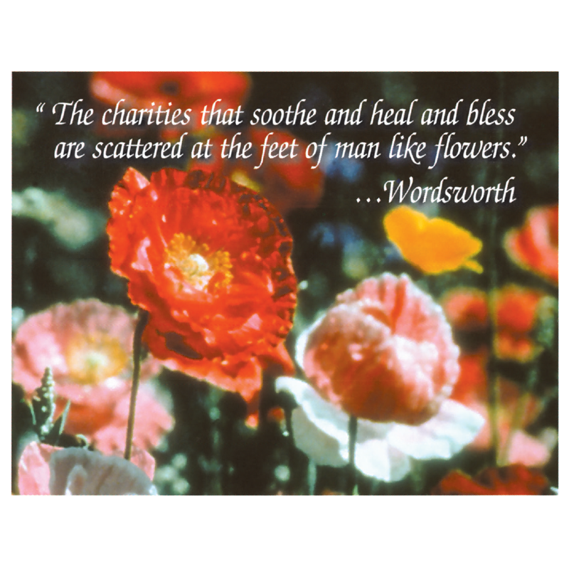 American Flag Seed Packet