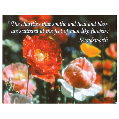 American Flag Seed Packet