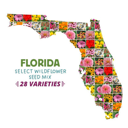 florida wildflower seed mix Florida Select Wildflower Seed Mix