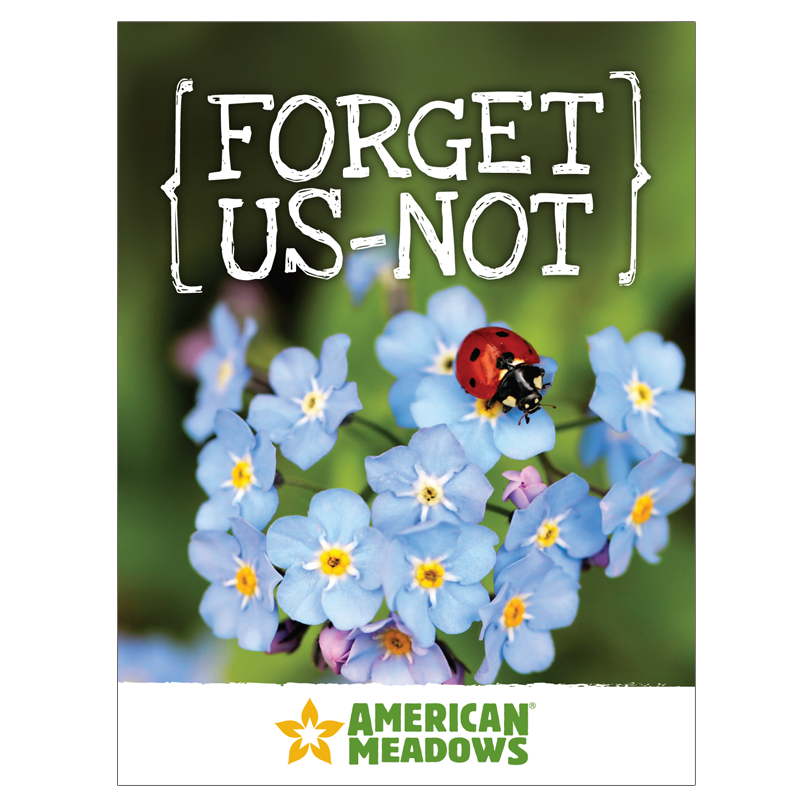 Forget Us Not Seed Packet