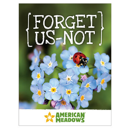 Forget Us Not Seed Packet