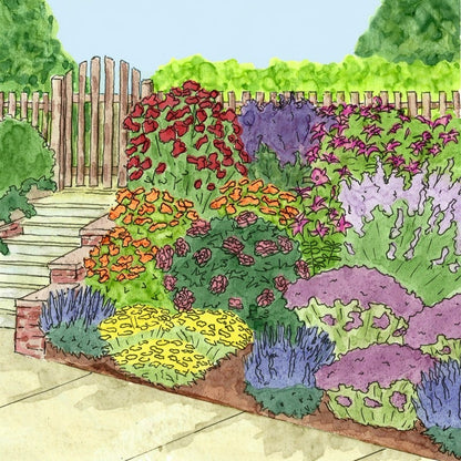 Fragrant Flower Pre-Planned Garden