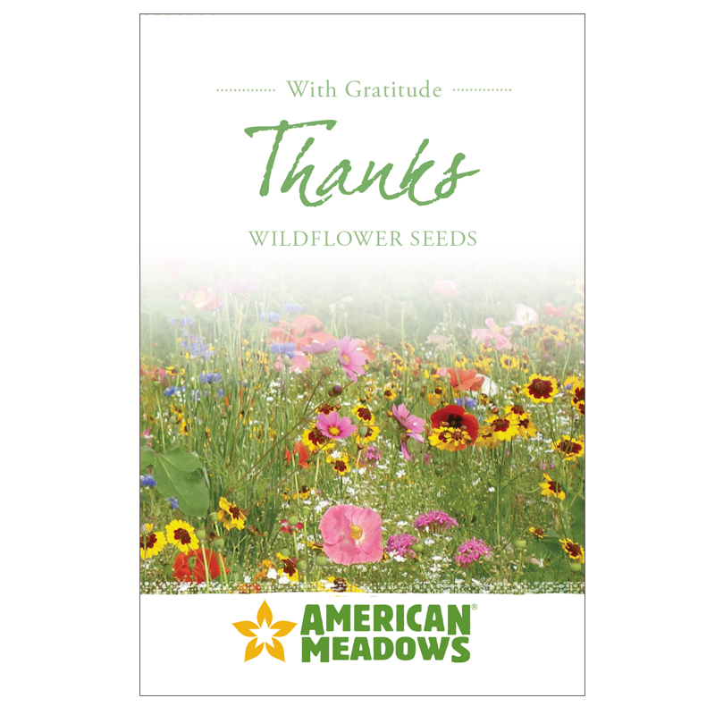 With Gratitude Thanks Seed Packet