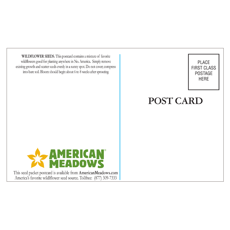 Grow With Us Seed Postcard