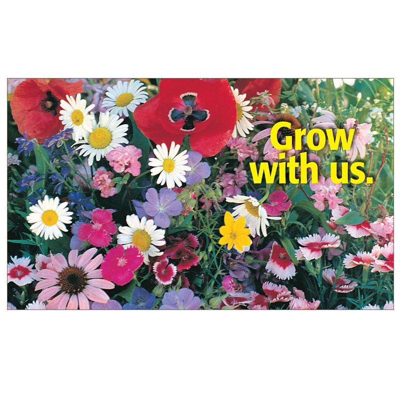 Grow With Us Seed Postcard