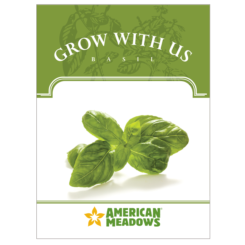 Grow With Us Basil Seed Packet