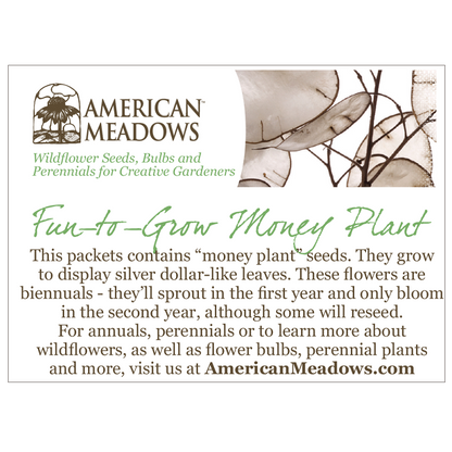 Seed Your Investment for Growth Seed Packet