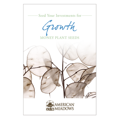 money plant seed packets Seed Your Investment for Growth Seed Packet