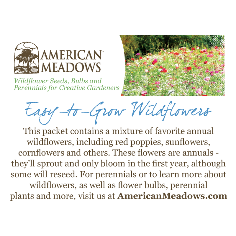 Planting Ideas for Growth Seed Packet