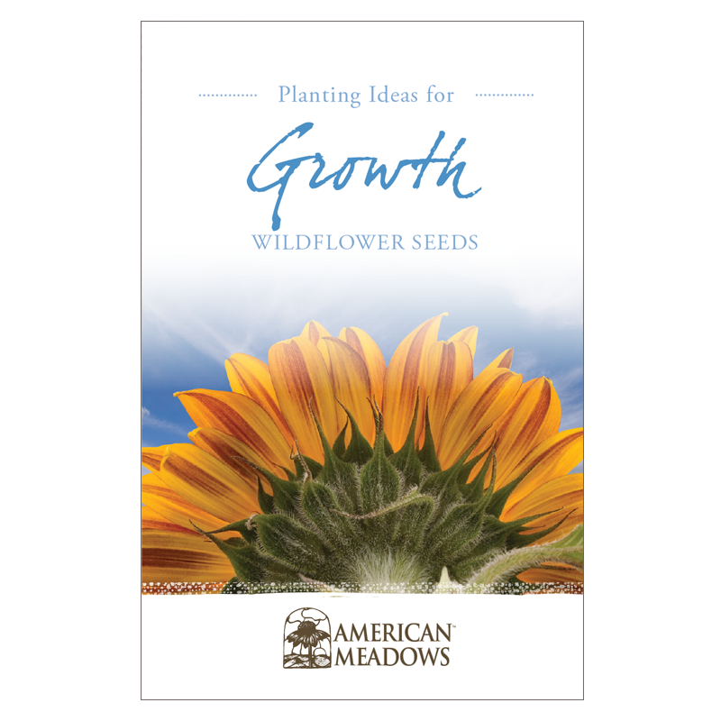 Planting Ideas for Growth Seed Packet
