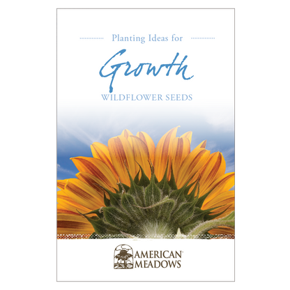 Planting Ideas for Growth Seed Packet