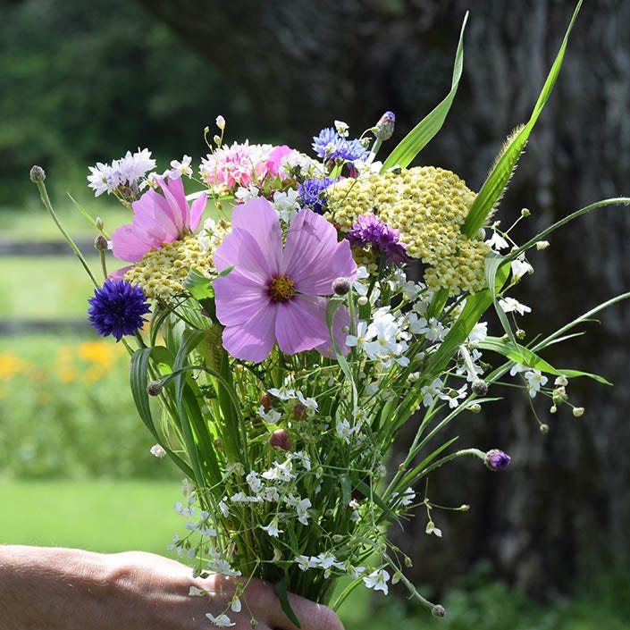 Bouquets For Days Wildflower Seed Mix