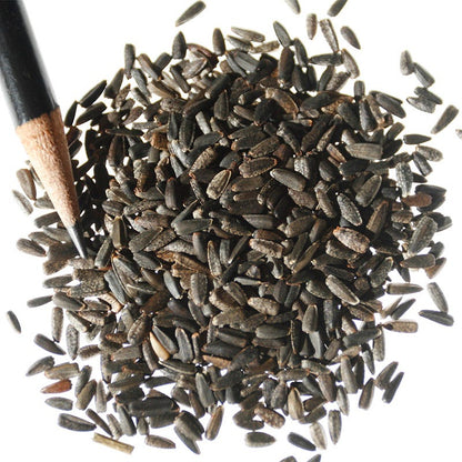 Italian White Sunflower Seeds