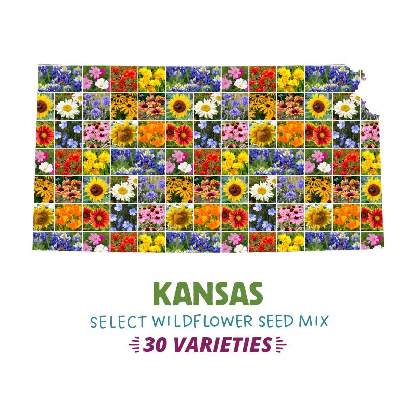 Kansas Select Wildflower Seed Mix