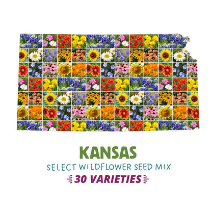 Kansas Select Wildflower Seed Mix
