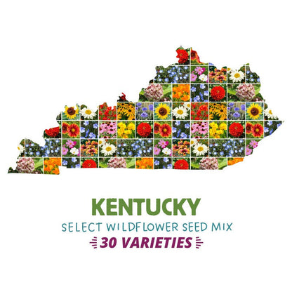 wildflower seeds kentucky Kentucky Select Wildflower Seed Mix