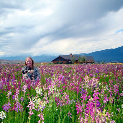 Quick Blooming Wildflower Seed Collection