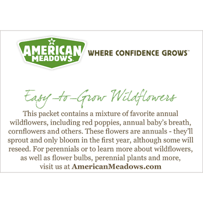 Little Sprouts Seed Packet