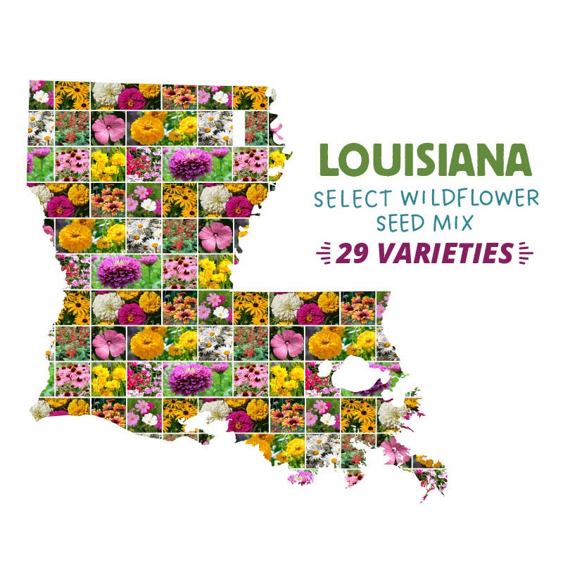Louisiana Select Wildflower Seed Mix