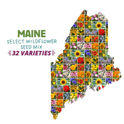 maine wildflower seed mix Maine Select Wildflower Seed Mix