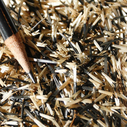 Sparky Marigold Seed Mix