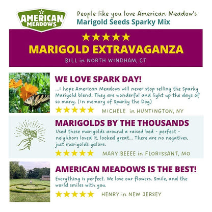 Sparky Marigold Seed Mix