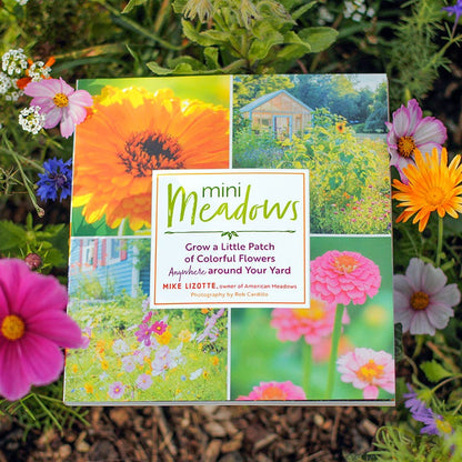 Mini Meadows: Grow A Little Patch Of Colorful Flowers Anywhere Around Your Yard
