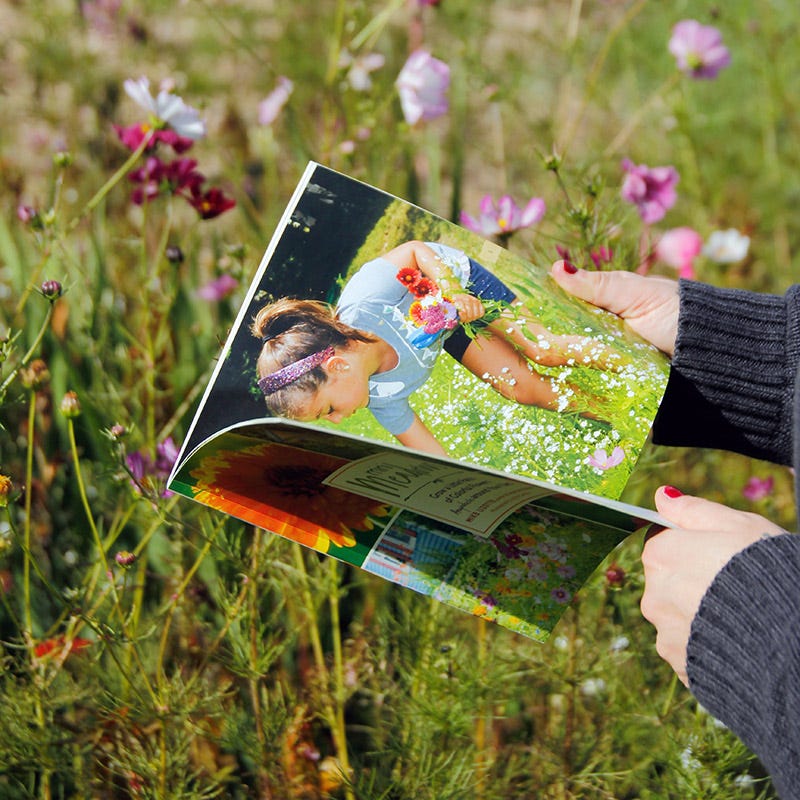 wildflower seeds block of the month kit Mini Meadows Wildflower Kit
