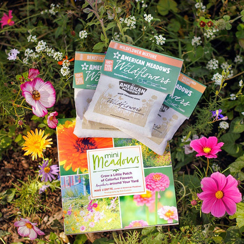wildflower seeds block of the month kit Mini Meadows Wildflower Kit