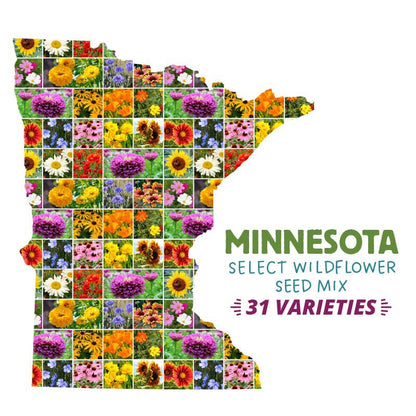 minnesota wild flower seeds Minnesota Select Wildflower Seed Mix
