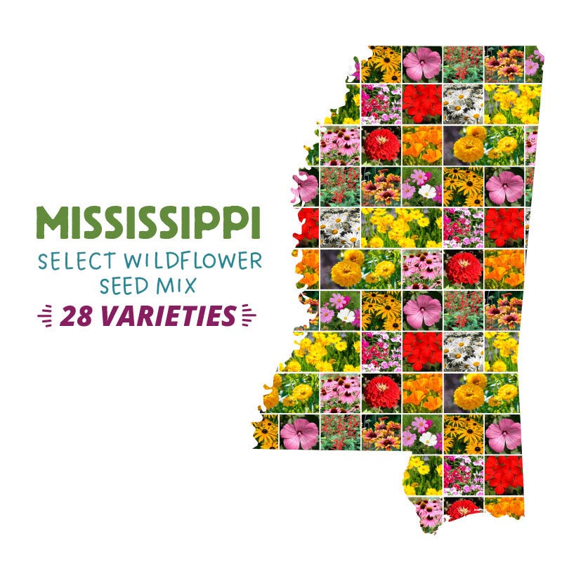 Mississippi Select Wildflower Seed Mix