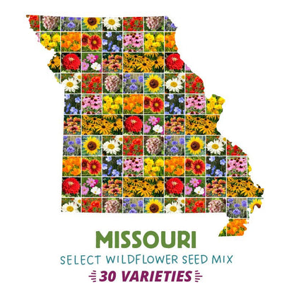 missouri native plant seeds Missouri Select Wildflower Seed Mix