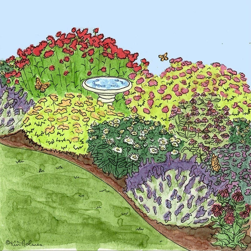 Monarch Magnet Pre-Planned Garden